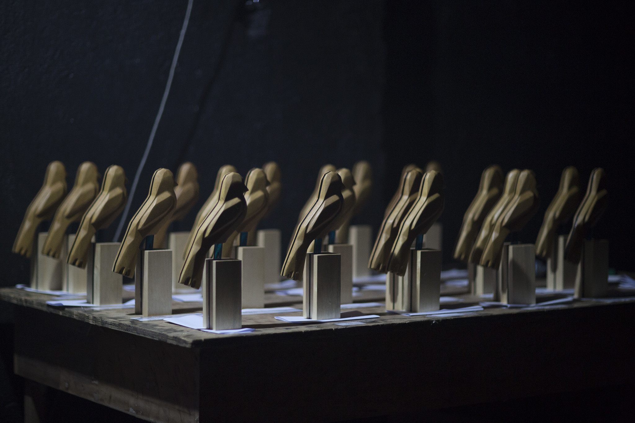 troféu gralha azul