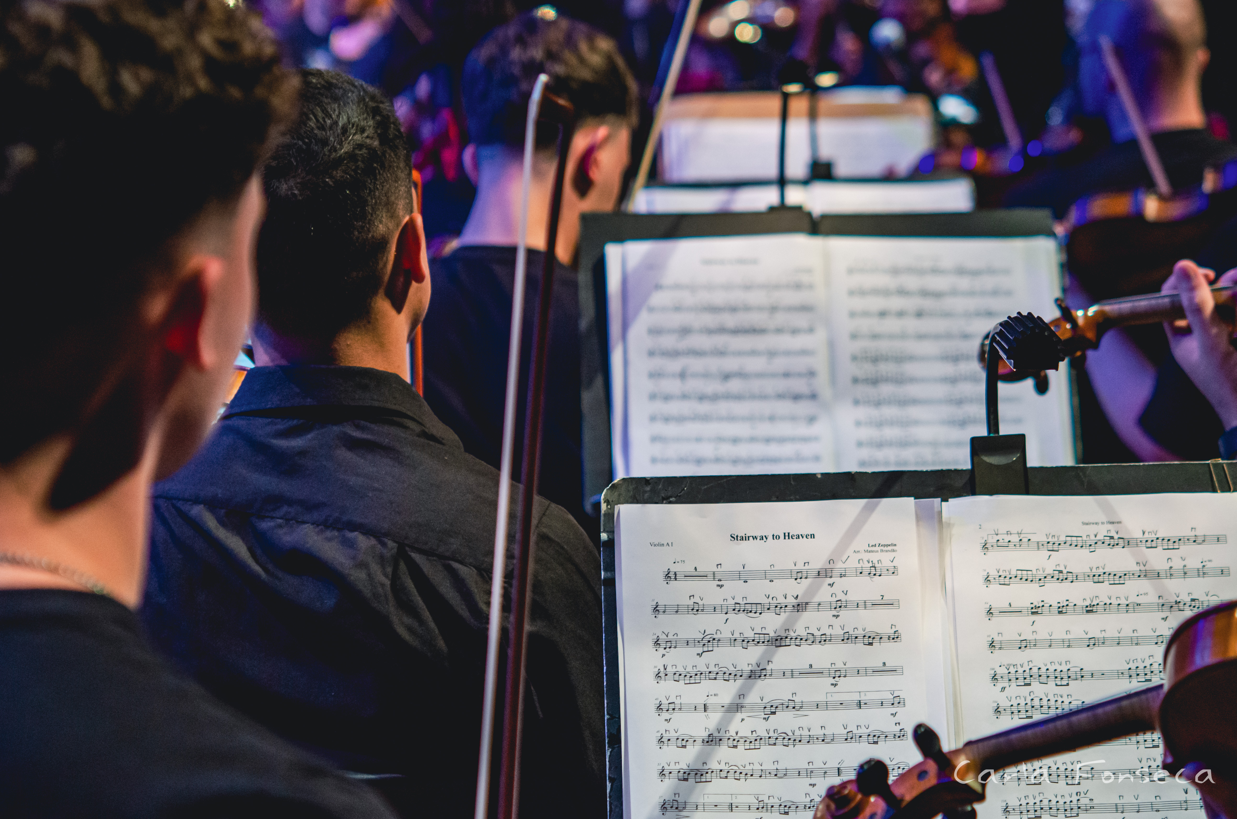 músicos enfileirados com partituras à frente