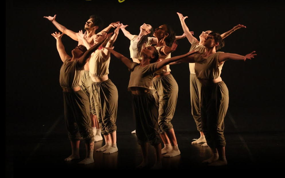 “Para Onde Foram as Andorinhas?” espetáculo de dança explora questões ambientais