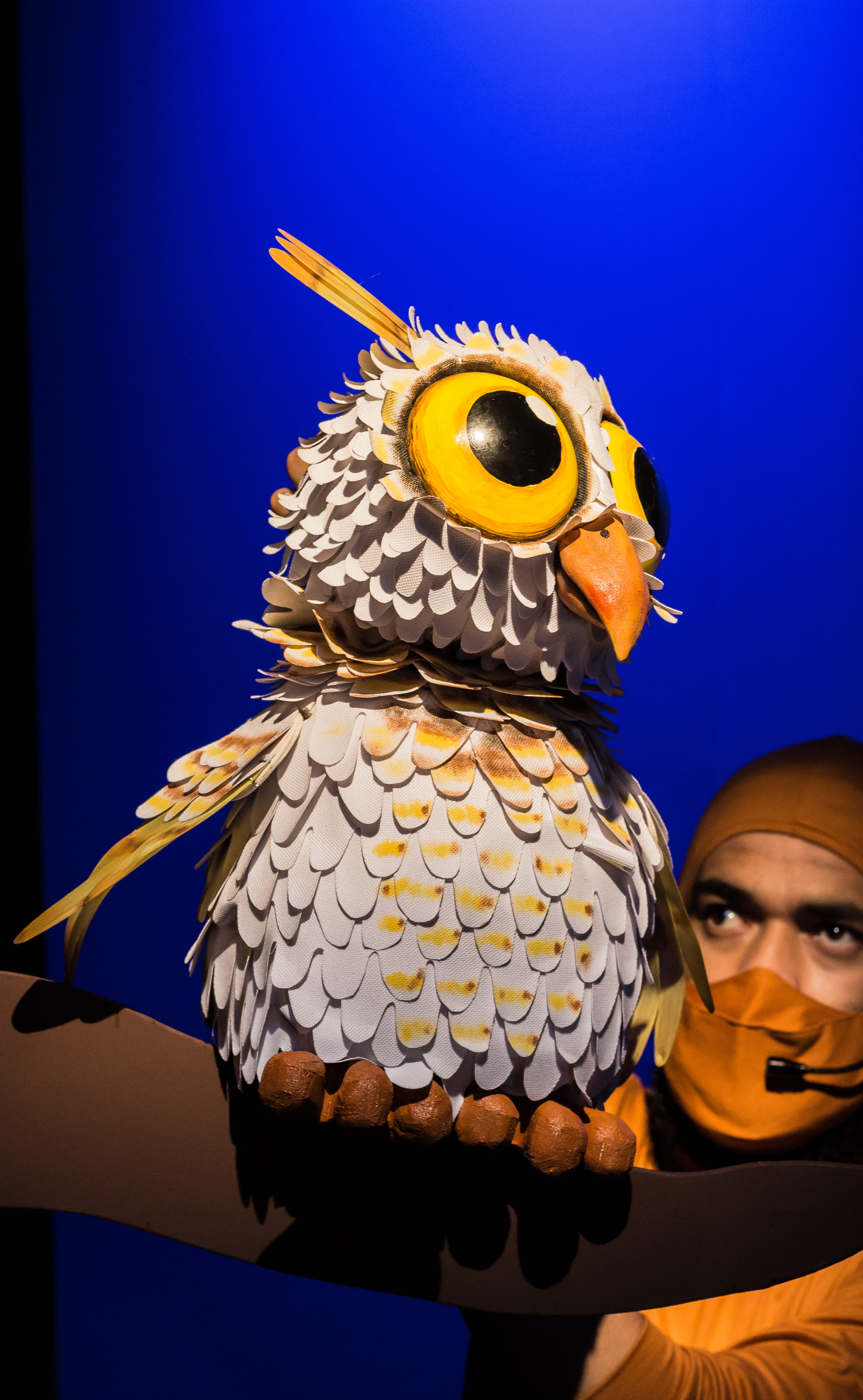 Festival Espetacular de Teatro de Bonecos celebra 25 anos com espetáculos nacionais e internacionais em Curitiba