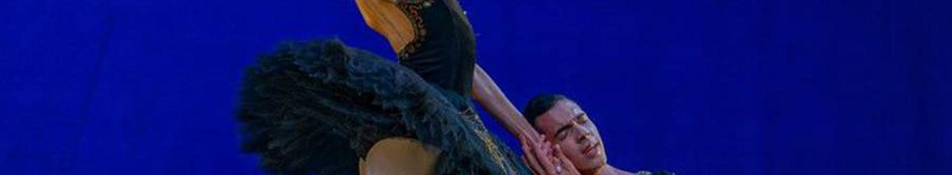 THE CLASSIC BALLET / DANÇA CLÁSSICA