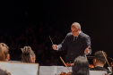 maestro regendo orquestra, músicos de costas