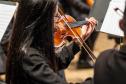 violinista 