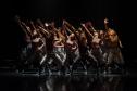 Coreografia Anima.
