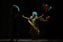 Neste ano, uma das novidades do espetáculo é a participação do bailarino Ricardo Garanhani, integrante do G2 Cia. de Dança, grupo master do Teatro Guaíra
