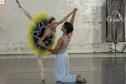 Escola de Dança Teatro Guaíra encanta mais de 850 alunos com espetáculo em colégio estadual