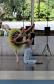 Escola de Dança Teatro Guaíra encanta cerca de 750 alunos em apresentação em colégio estadual de Curitiba
