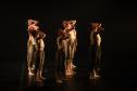 “Para Onde Foram as Andorinhas?” espetáculo de dança reflete sobre questões ambientais