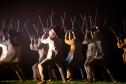 Balé Teatro Guaíra lança simultaneamente novo espetáculo em Curitiba e na Dinamarca