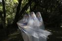 As bailarinas Bruna Vicente, Amanda Soares e Marcela Pinho interpretam as "Giselles" em um dos elencos