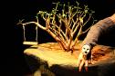 Festival Espetacular de Teatro de Bonecos celebra 25 anos com espetáculos nacionais e internacionais em Curitiba