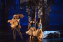 Balé "GiselleS" encerra temporada com mais de 11 mil espectadores.