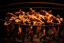Arapongas será a próxima parada da circulação do Balé Teatro Guaíra pelo Paraná em 2026.