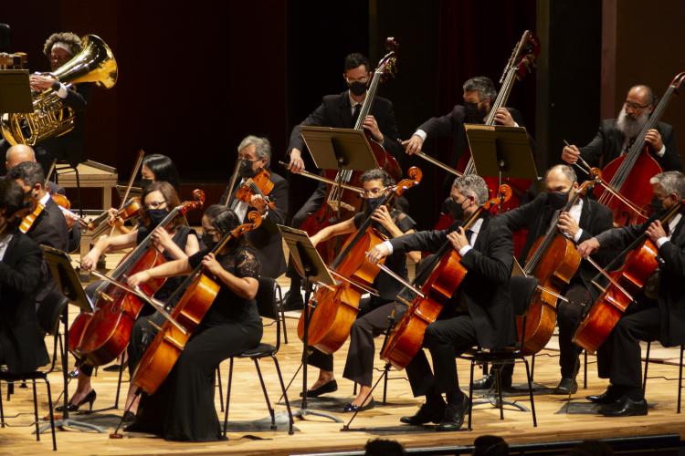 Foto dos músicos da OSP tocando seus instrumentos durante um concerto. Em primeiro plano vemos os músicos tocando violoncelos.