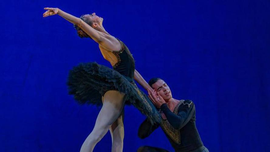 THE CLASSIC BALLET / DANÇA CLÁSSICA