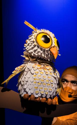Festival Espetacular de Teatro de Bonecos celebra 25 anos com espetáculos nacionais e internacionais em Curitiba