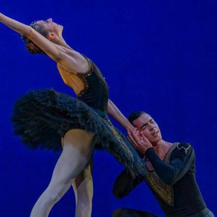 THE CLASSIC BALLET / DANÇA CLÁSSICA