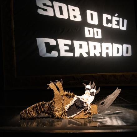 Sob o Céu do Cerrado