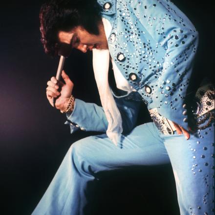 Elvis In Concert Live On Screen
