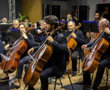músicos tocando instrumentos 