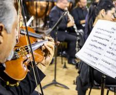 violinista