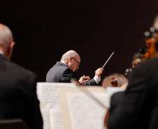 maestro regendo orquestra, músicos de costas