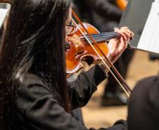 violinista 