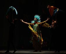 Neste ano, uma das novidades do espetáculo é a participação do bailarino Ricardo Garanhani, integrante do G2 Cia. de Dança, grupo master do Teatro Guaíra