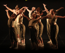 “Para Onde Foram as Andorinhas?” espetáculo de dança explora questões ambientais
