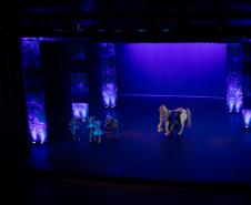 Entrega da reforma do telhado do Teatro Guaíra / parceria da AUDI - Apresentação de Ballet para 600 crianças de escolas públicas.