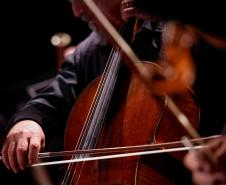 Orquestra Sinfônica do Paraná encanta crianças em concerto didático em Araucária