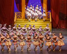 Espetáculo Bela e a Fera 2017