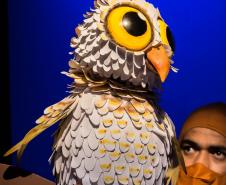 Festival Espetacular de Teatro de Bonecos celebra 25 anos com espetáculos nacionais e internacionais em Curitiba
