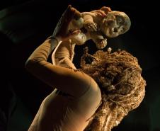 Com 27 espetáculos, Festival de Teatro de Bonecos começa neste domingo em Curitiba 