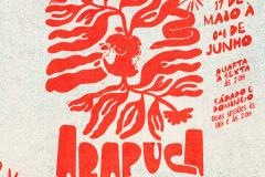 Cartaz Arapuca