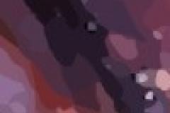 imagem de divulgação pia psico rock festival