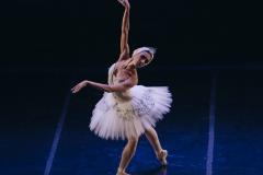 O espetáculo contará com a participação especial de Ana Botafogo e dos convidados Cícero Gomes e Juliana Valadão, primeiros bailarinos do Theatro Municipal do Rio de Janeiro