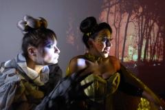 abelhinhas da peça preocupadas com a floresta em chamas