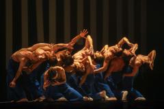 Coreografia Castelo