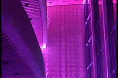 Teatro Guaíra com iluminação lilás