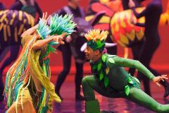 Cenas do espetáculo, um mundo mágico e cheio de cores