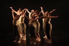 “Para Onde Foram as Andorinhas?” espetáculo de dança reflete sobre questões ambientais