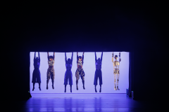 "Contraponto" está de volta ao palco do Guairão neste final de semana. 