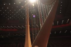 Orquestra Sinfônica do Paraná recebe nova harpa italiana Salvi