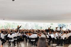 Orquestra Sinfônica do Paraná apresenta neste sábado (26) repertório que celebra a música e a cultura paranaense no Auditório do MON