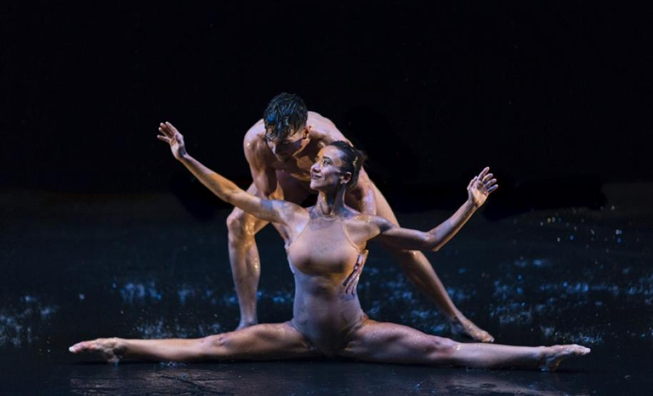 O Segundo Sopro, 2019