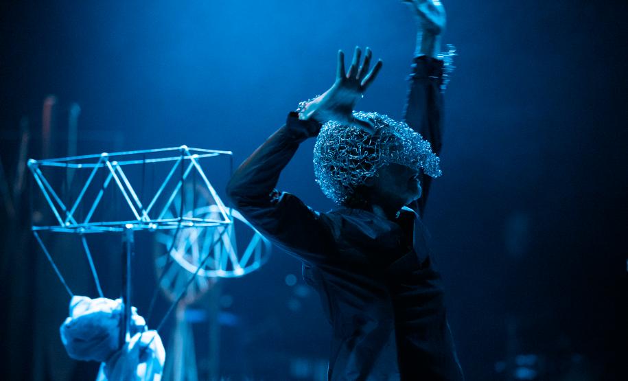 1-anatomia_oca_dos_passaros_foto_gabriel_lehto