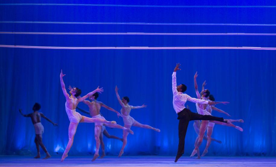 Imagem do espetáculo O Lago dos Cisnes