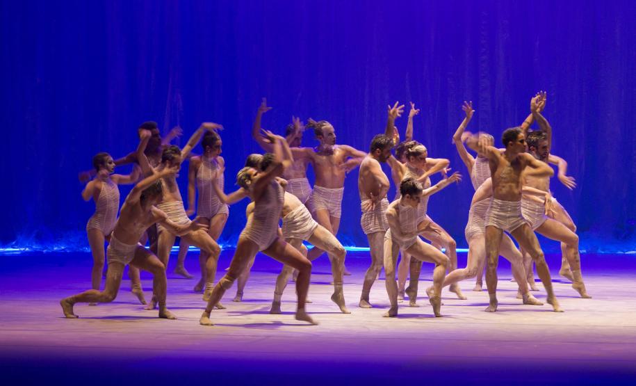 Imagem do espetáculo O Lago dos Cisnes
