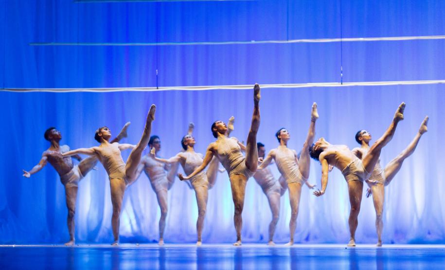 Imagem do espetáculo O Lago dos Cisnes